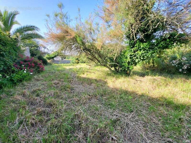 Maison à TELGRUC-SUR-MER