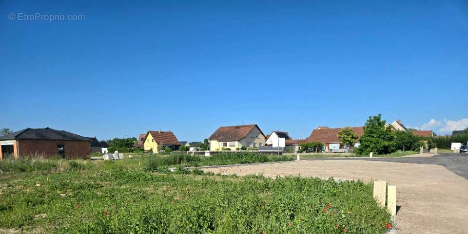 Terrain à BINDERNHEIM