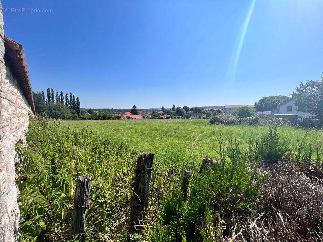 Terrain à FRETIGNEY-ET-VELLOREILLE