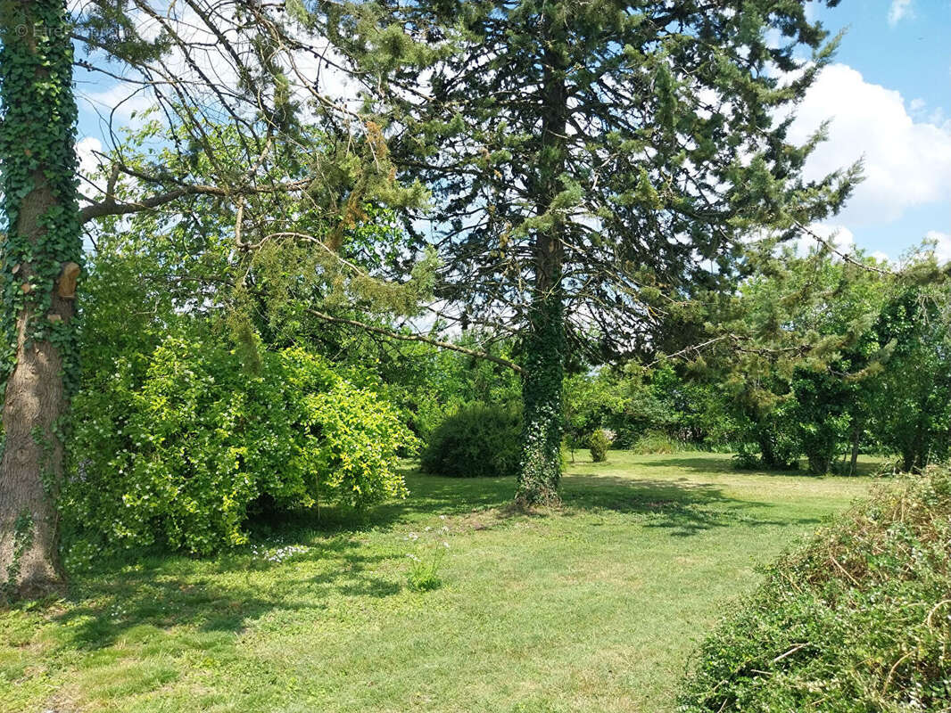 Terrain à CIGOGNE