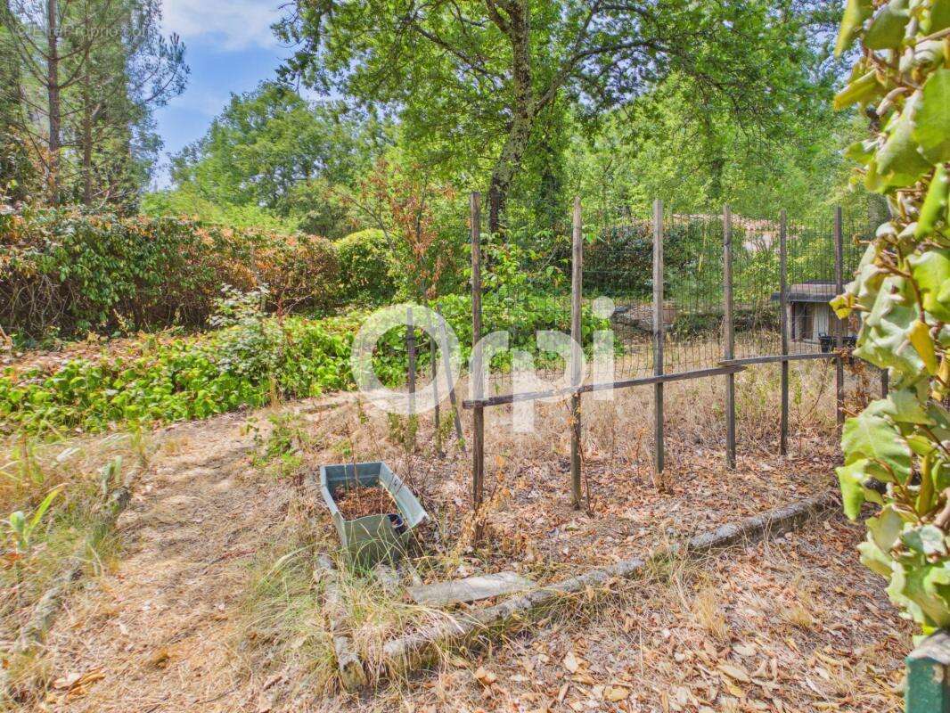 Propriete grand terrain plat + maison plain-pied - plusieurs dependances / annexes - a rafraichir - calme absolu / aucun vis-a-v - photo 16