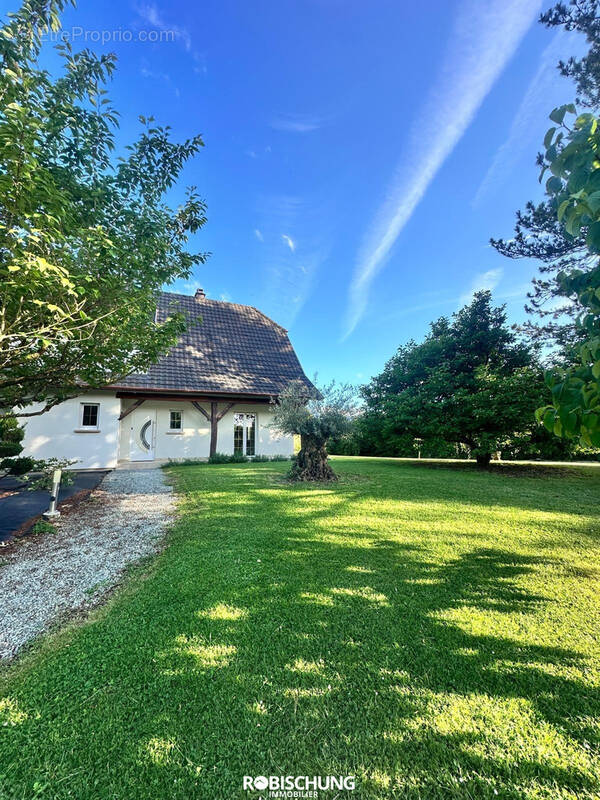ELBACH : Maison avec piscine dans un environnement privilégié - photo 14