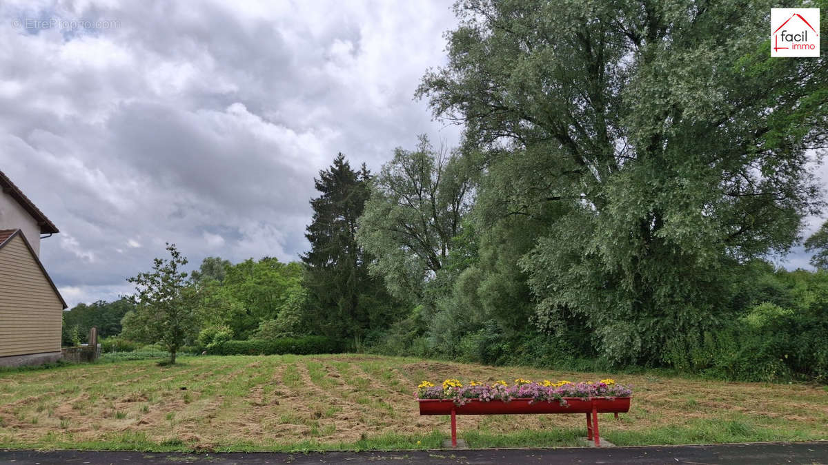 Terrain à RORBACH-LES-DIEUZE