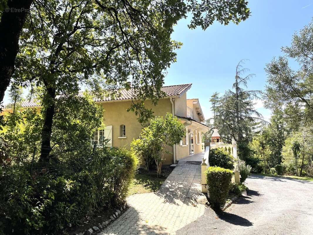 Photo 2 - Maison à CASTRES