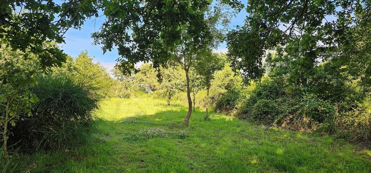 Photo 1 - Terrain à LA PLAINE-SUR-MER