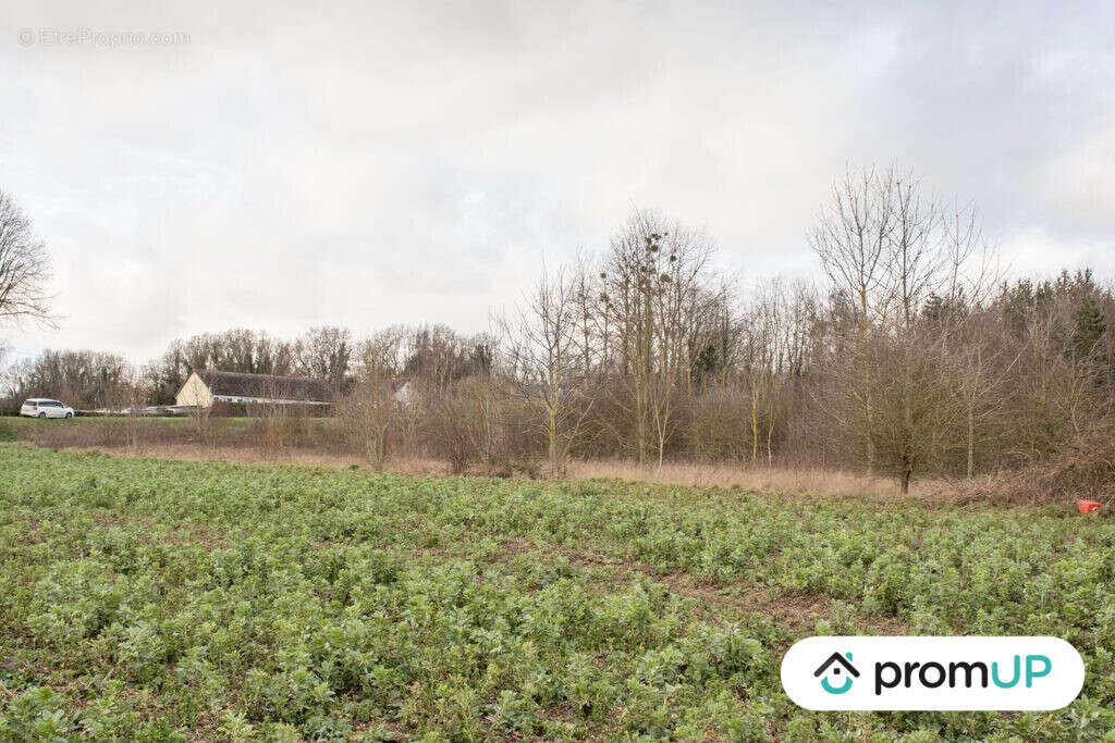 Terrain à SOREL-EN-VIMEU