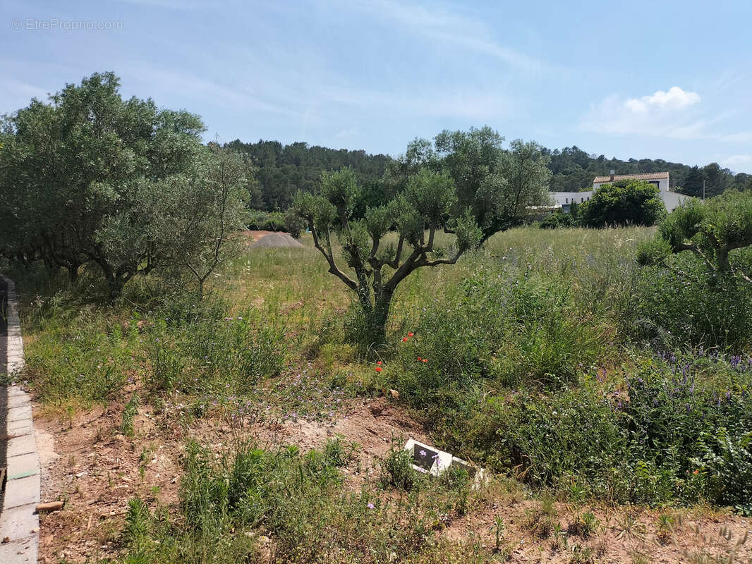 Terrain à CLERMONT-L'HERAULT