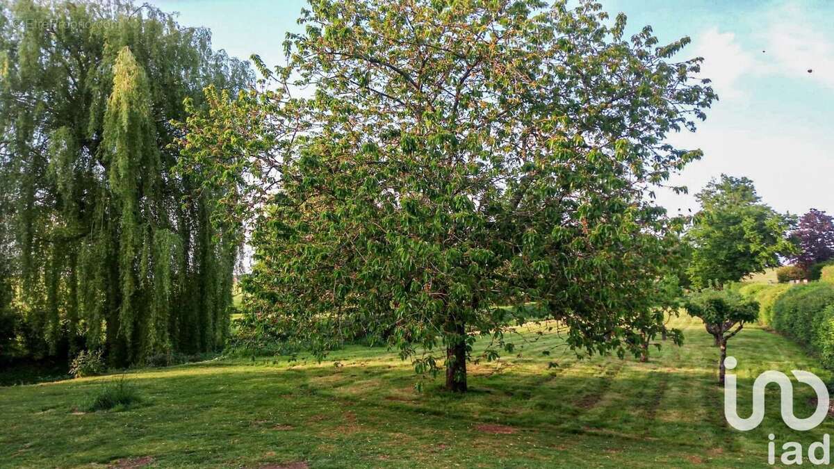 Photo 4 - Terrain à MAULETTE