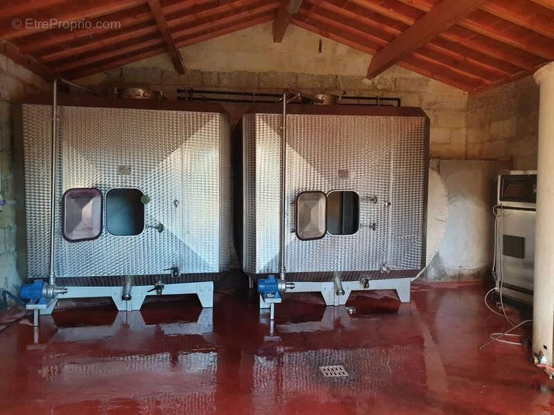 Propriété viticole en Bio à vendre Saint Emilion - Réf 1140 - photo 4