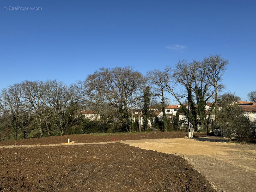 Terrain à SAINT-BENOIT