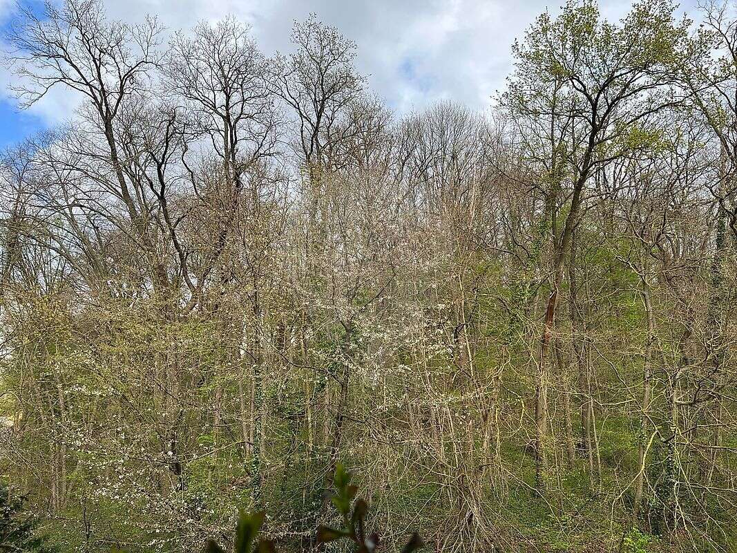 Appartement à SENLIS