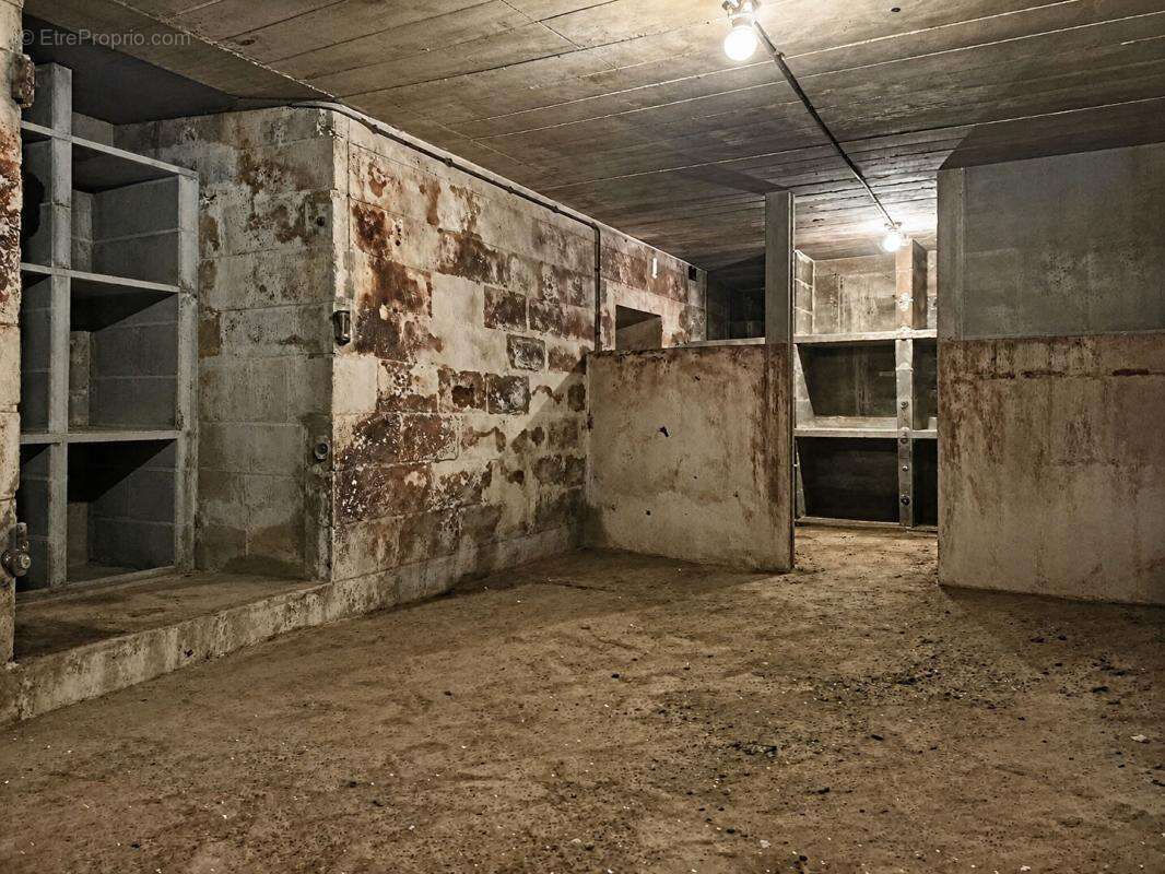 Maison sur sous-sol 4 chambres avec dépendance - VERNANTES (49390) - photo 16