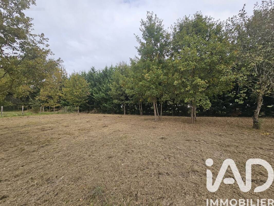 Photo 1 - Terrain à CASTELSARRASIN