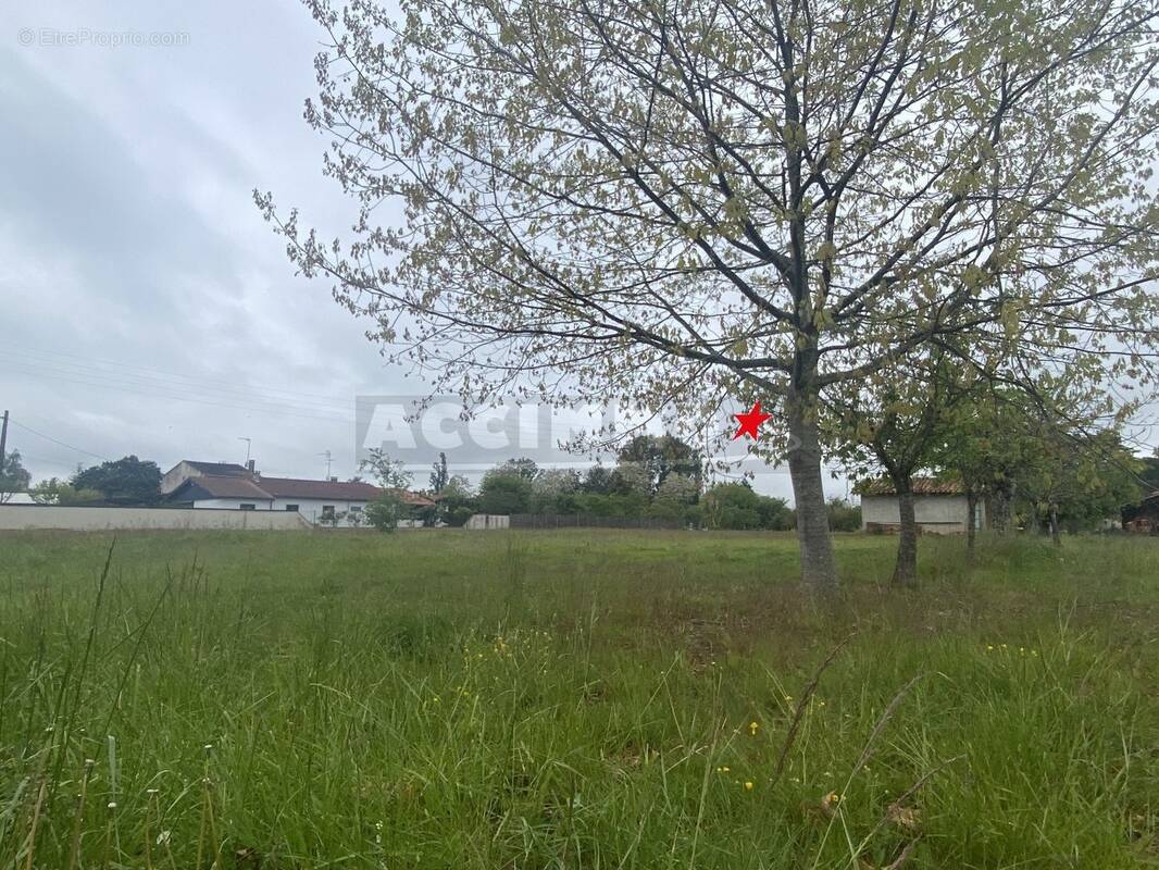 Terrain à BESSIERES