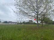 Terrain à BESSIERES