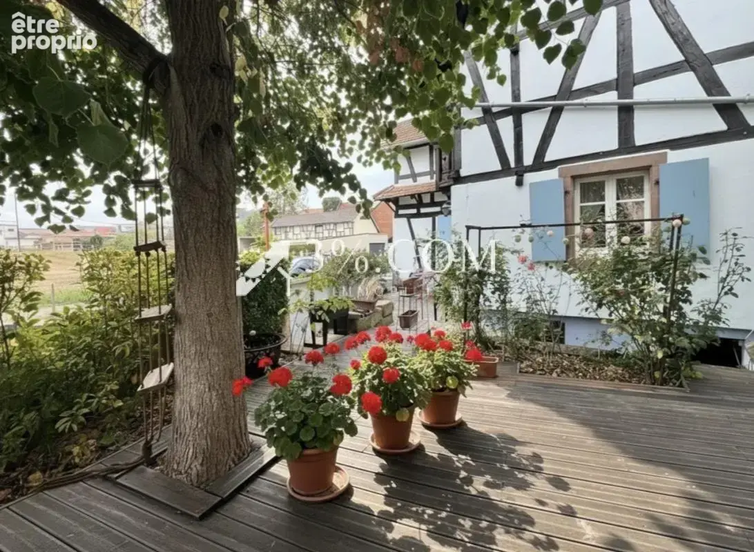 3%COM Très belle Maison alsacienne rénovée avec logement ind - photo 5