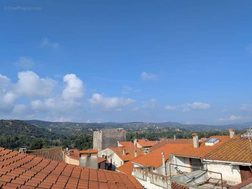 Photo 7 - Appartement à ILLE-SUR-TET