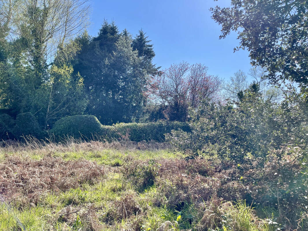 Terrain à LARMOR-BADEN
