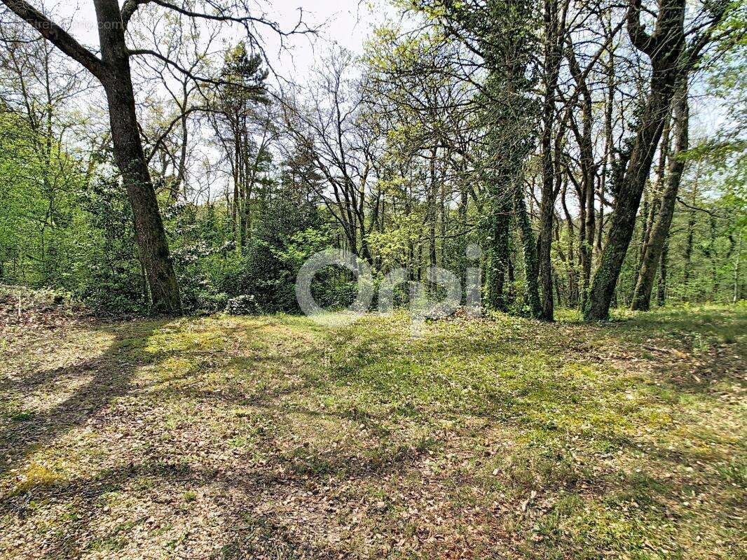 Maison à COULOUNIEIX-CHAMIERS