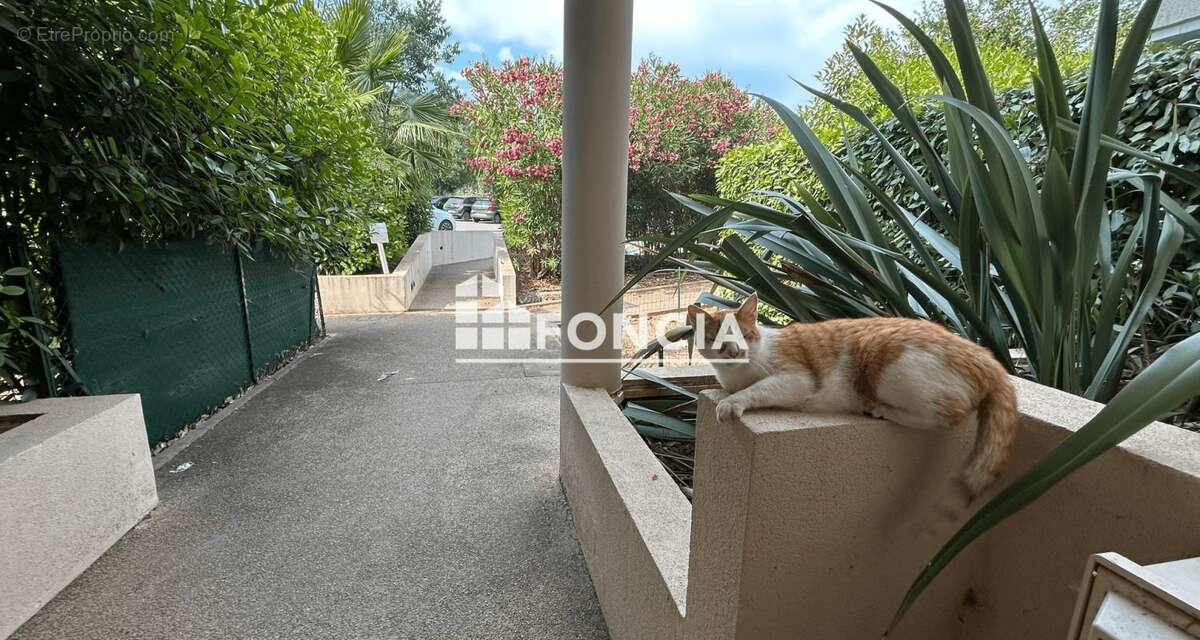 Appartement à LE LUC