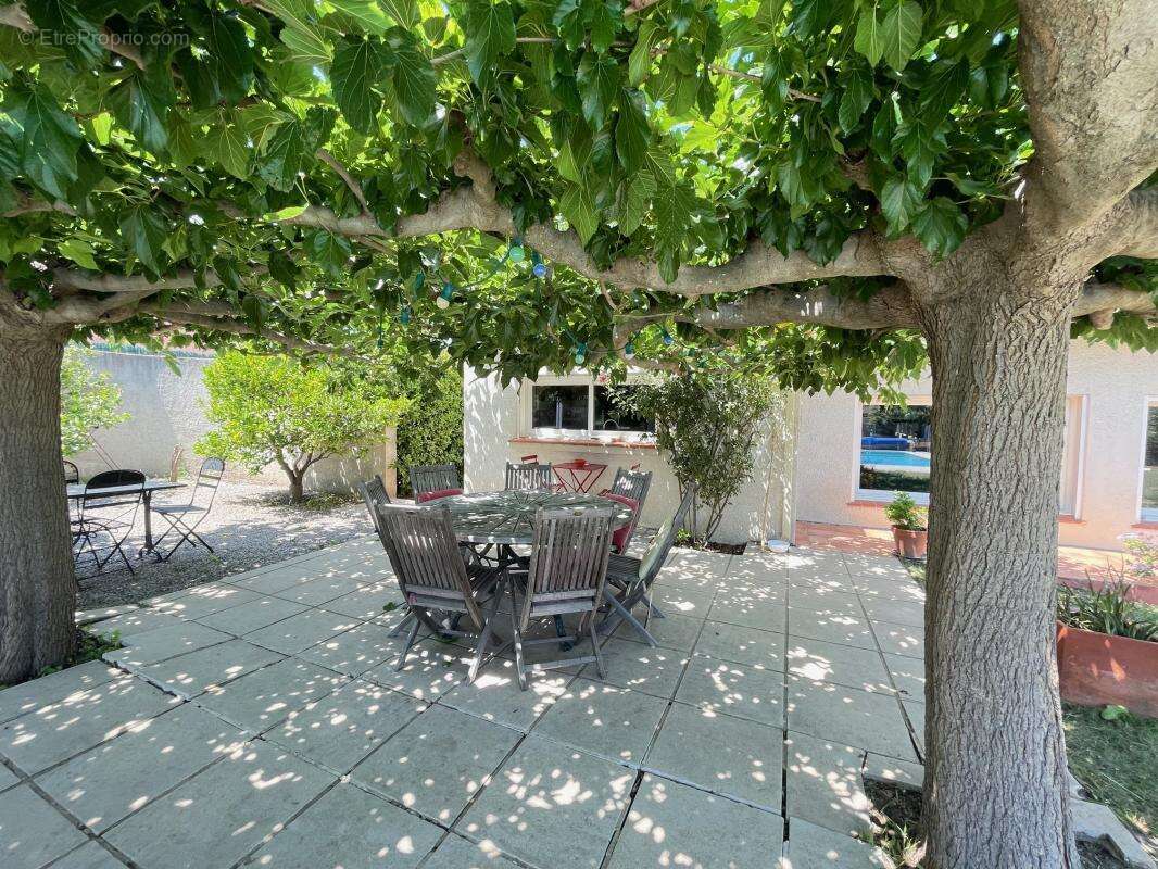Villa 4 faces, 5 chambres - photo 4