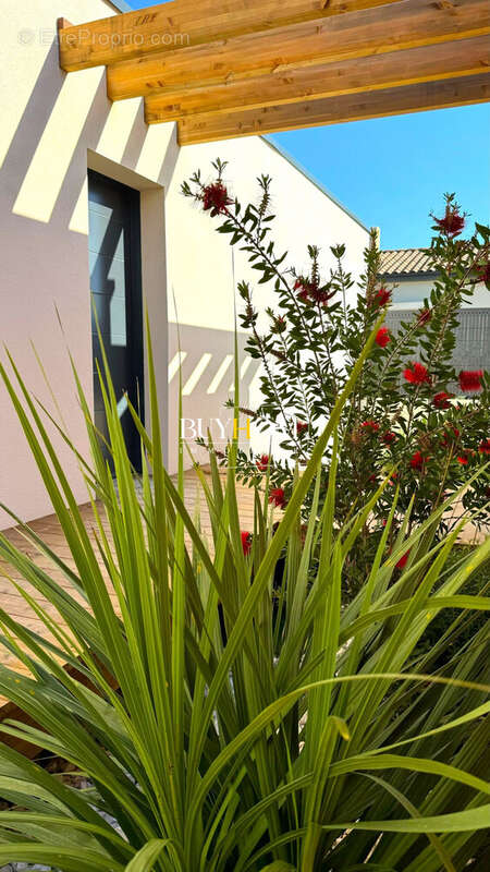 Maison à L&#039;ISLE-SUR-LA-SORGUE