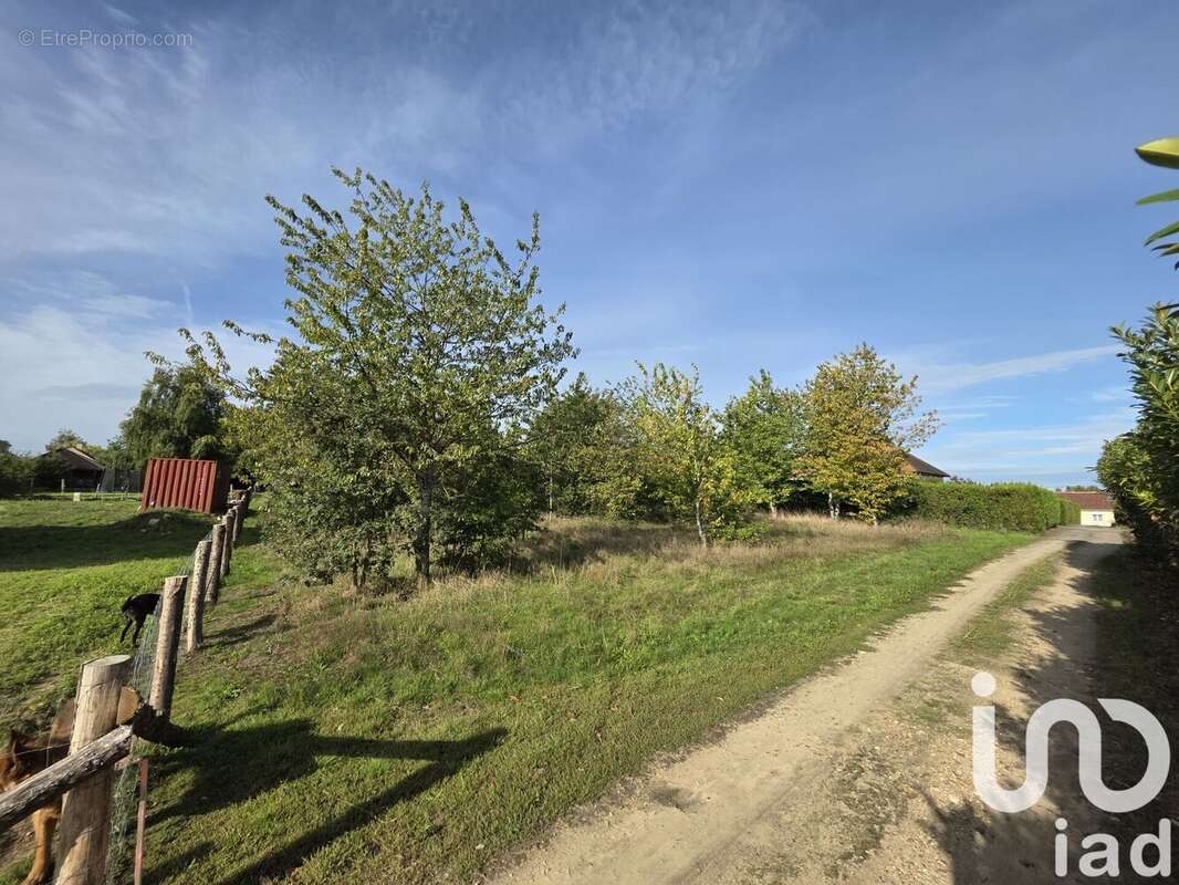 Photo 5 - Terrain à CERANS-FOULLETOURTE