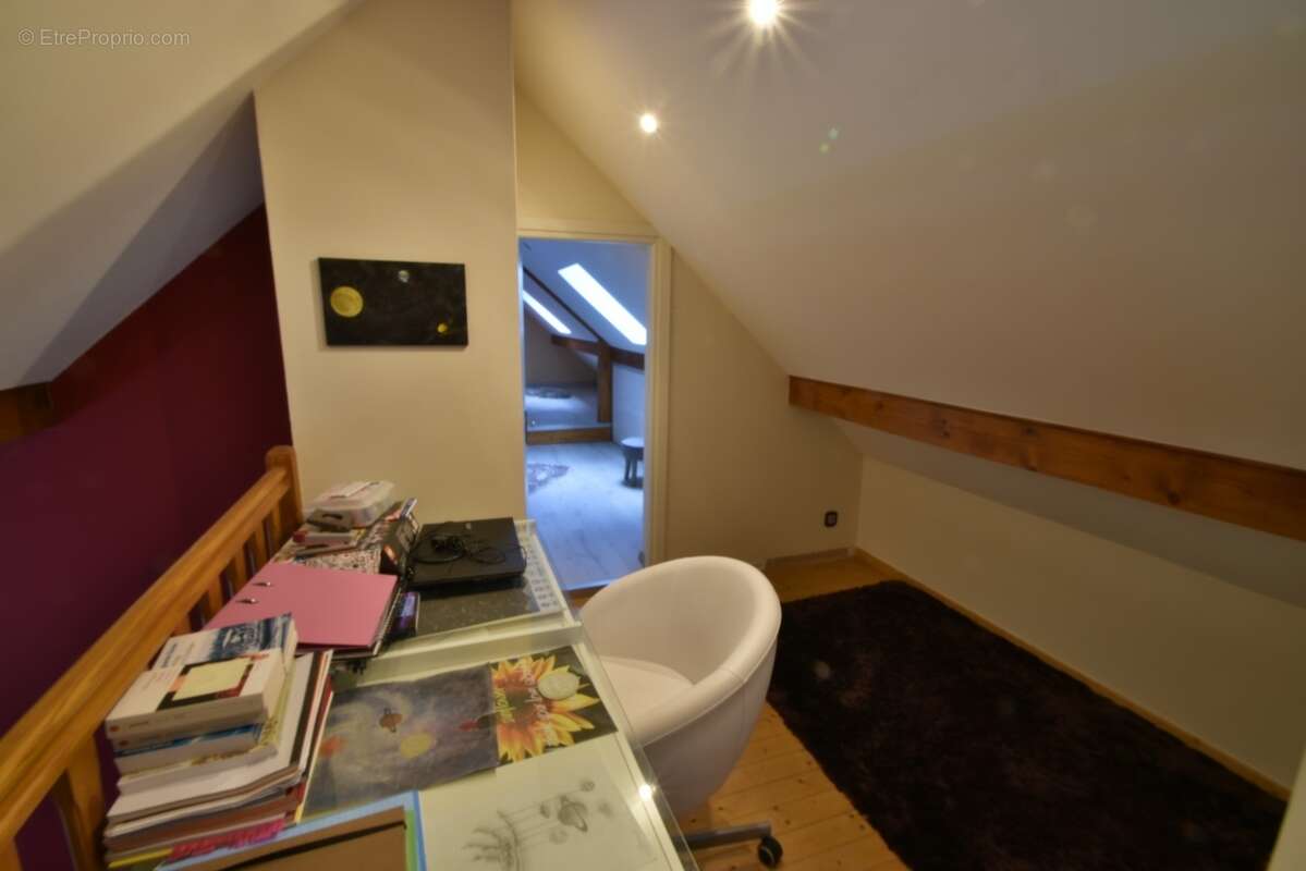 Maison à vendre 11 pièces LULLY (74) - photo 32