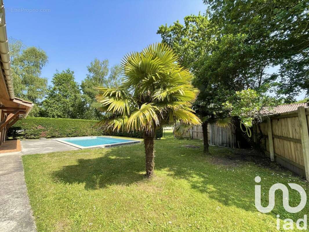 Photo 3 - Maison à VENDAYS-MONTALIVET