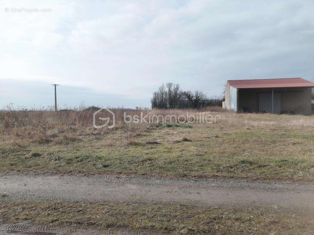 Charmante longère sur un terrain de 9900 m² - Un havre de paix à 30 minutes de Reims - photo 27