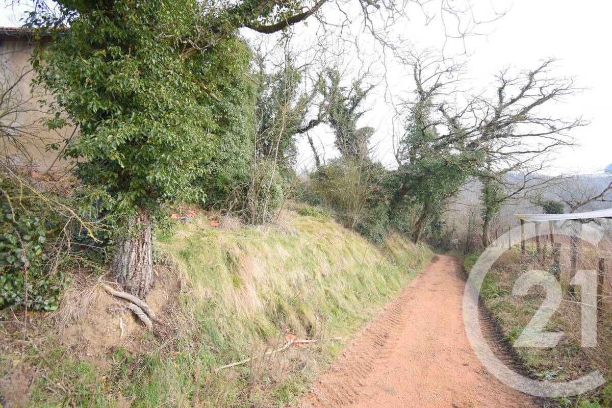 Terrain à CREUZIER-LE-VIEUX