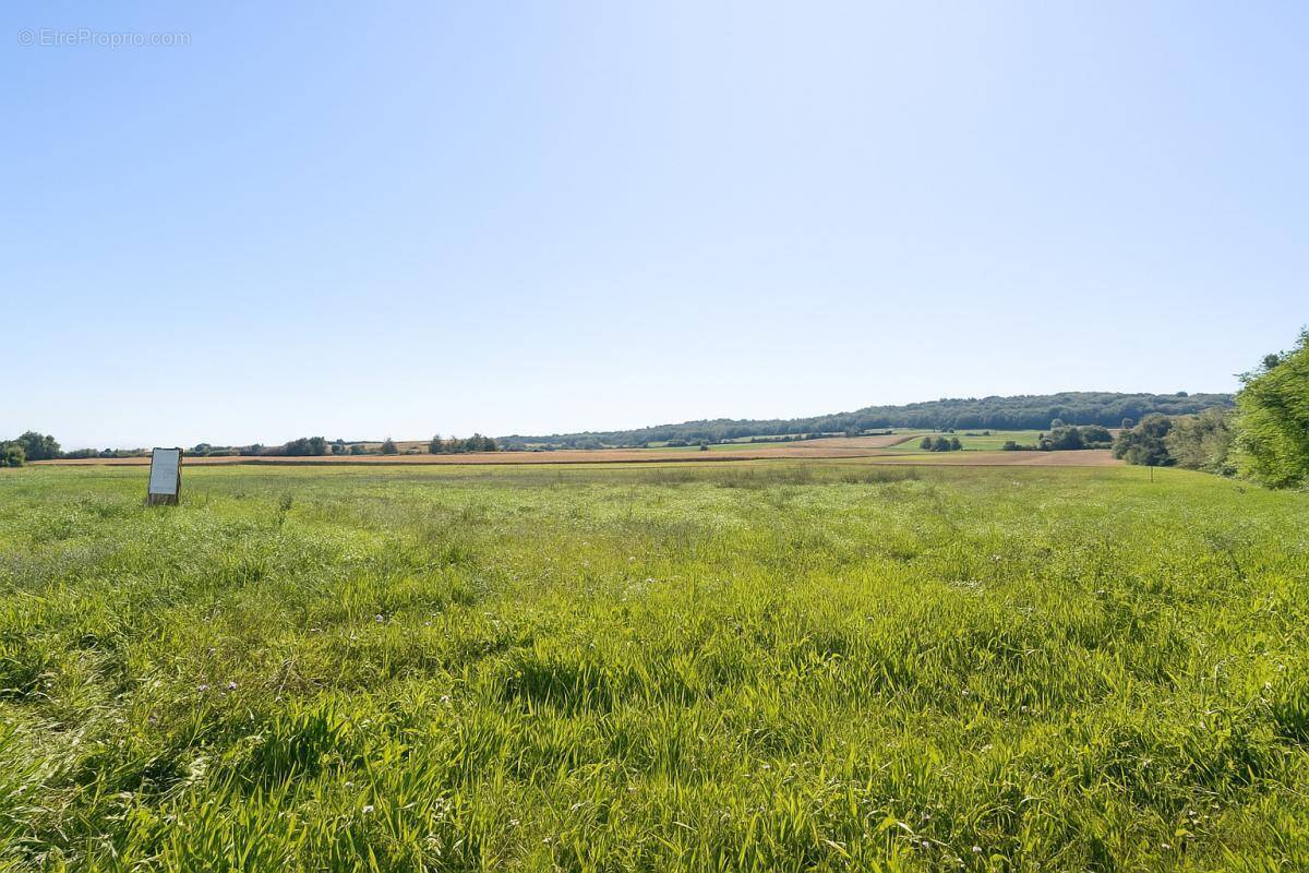 Terrain à SAINT-GERMAIN-ET-MONS