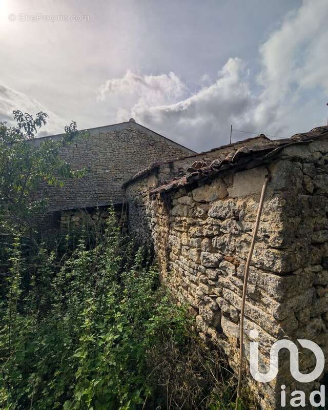 Photo 6 - Terrain à TAILLANT