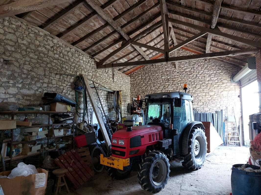 Domaine viticole bio près de Cordes-sur-Ciel - photo 9