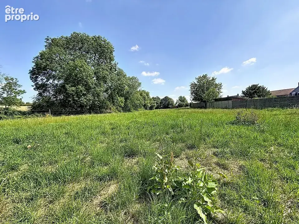 Terrain 1474 m² à Herzeele  - photo 6