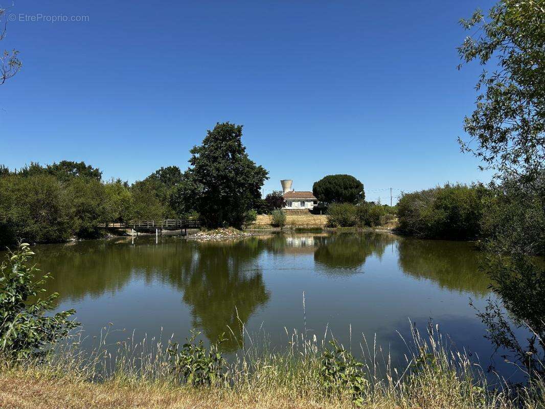Maison 90 m² à Clere-Sur-Layon  - photo 15