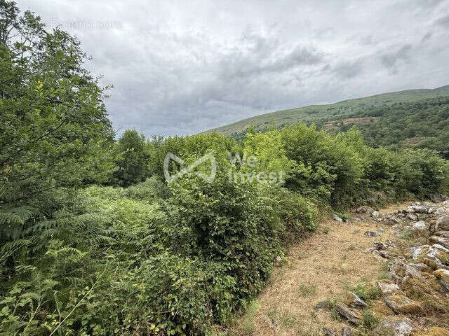 Terrain 3830 m² à Perles-Et-Castelet  - photo 3