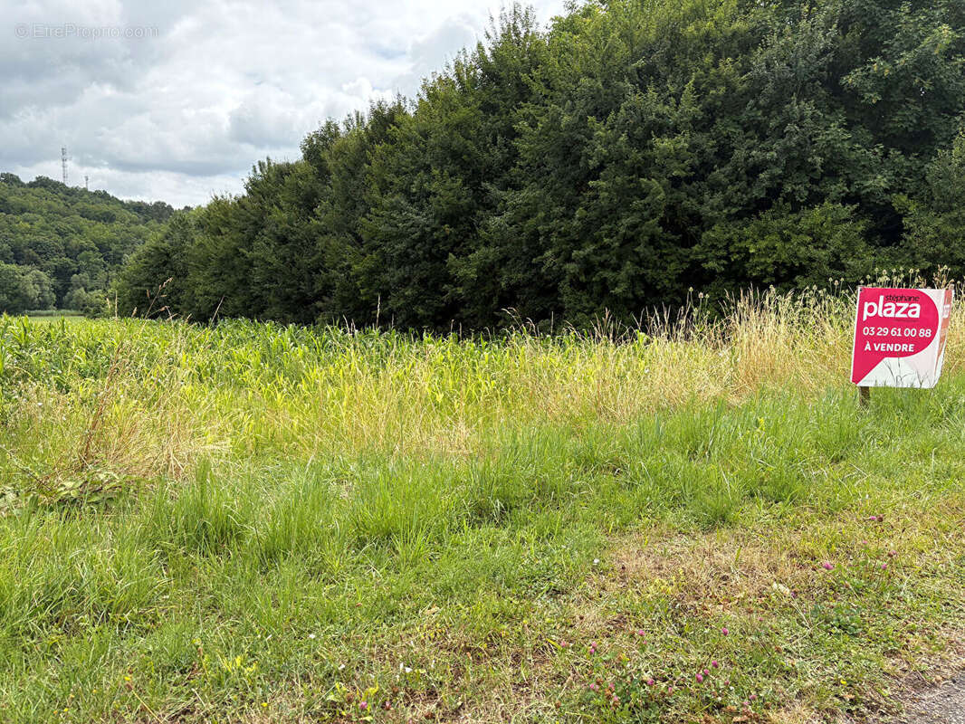 Terrain Mattaincourt 4026 m2 - photo 2