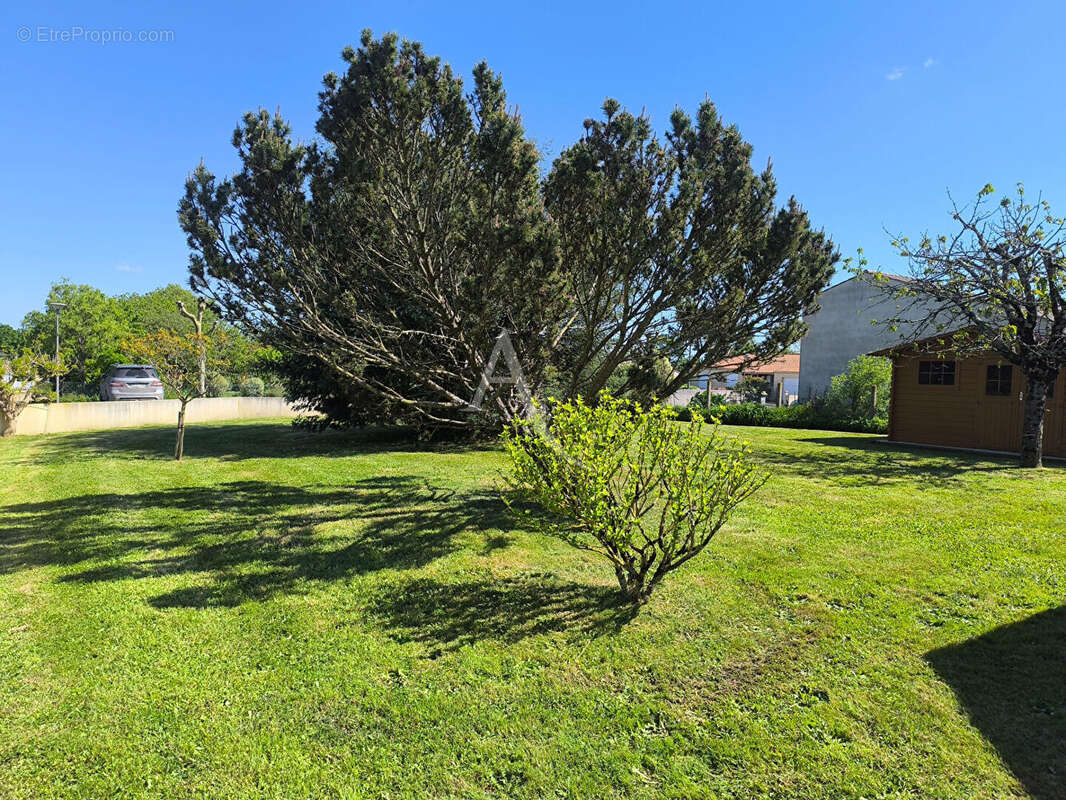 Terrain à TALMONT-SAINT-HILAIRE