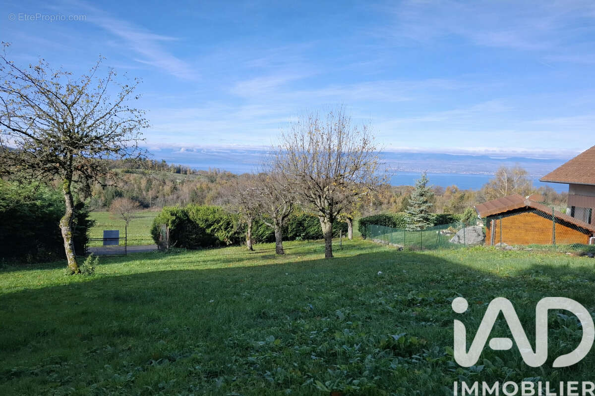 Photo 6 - Terrain à SAINT-PAUL-EN-CHABLAIS