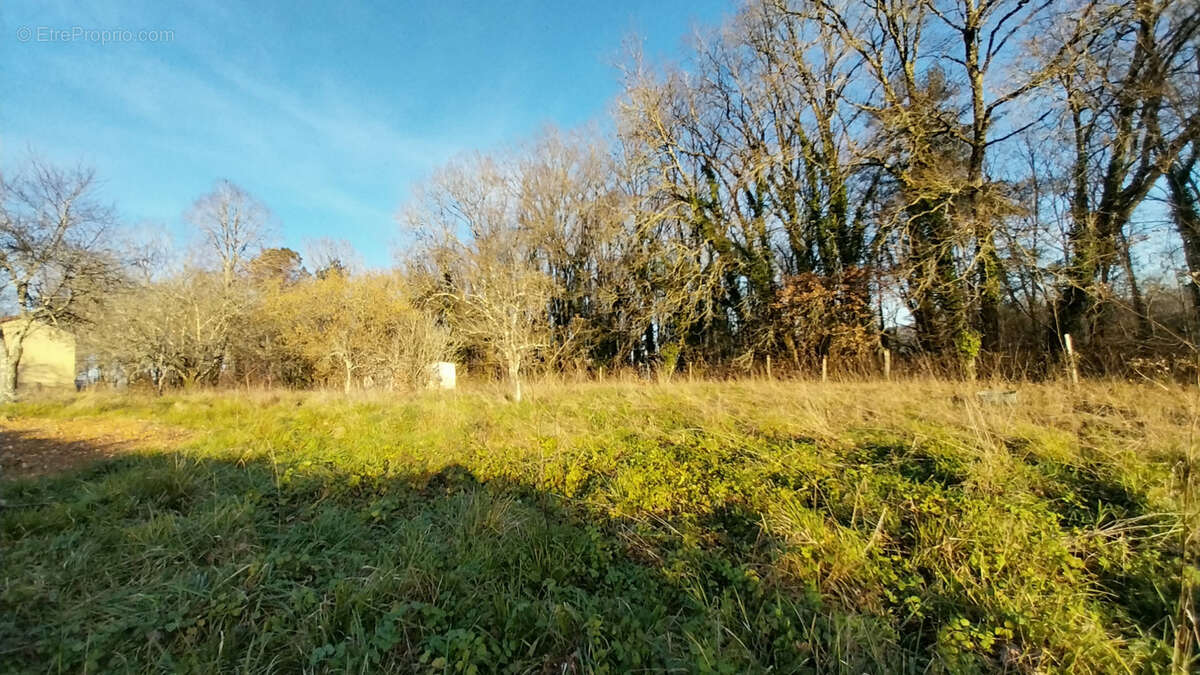 Château l'évêque - Terrain plat et constructible 1400 m2 - photo 2