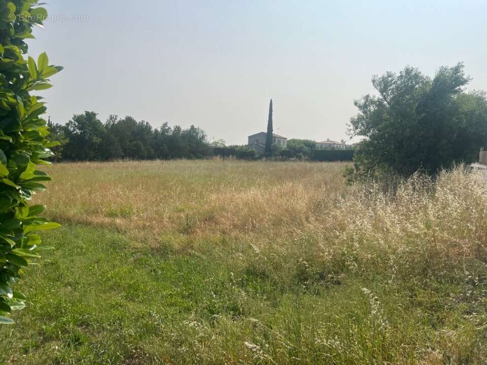 Terrain 400 m² à Alleins  - photo 3