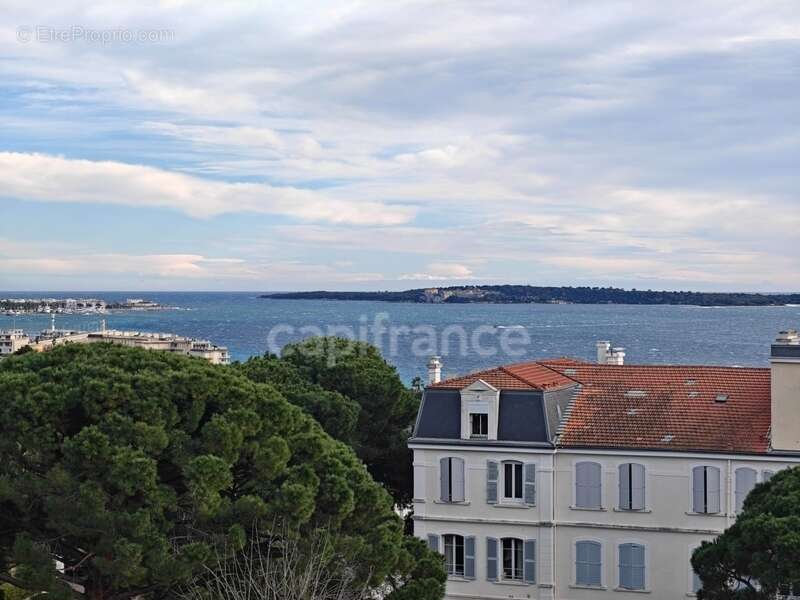 Maison à CANNES