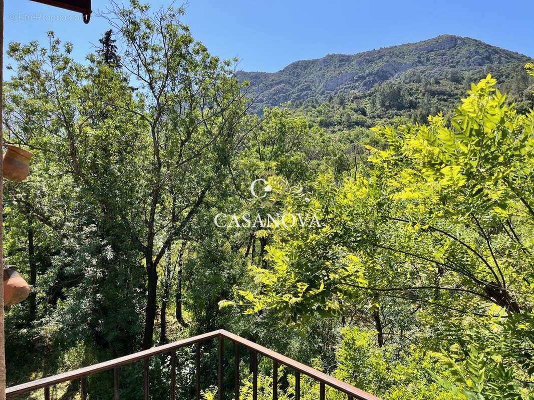 Proche LAC DU SALAGOU, propriété sur 6200 m² de parc avec VUE PANORAMIQUE - photo 7