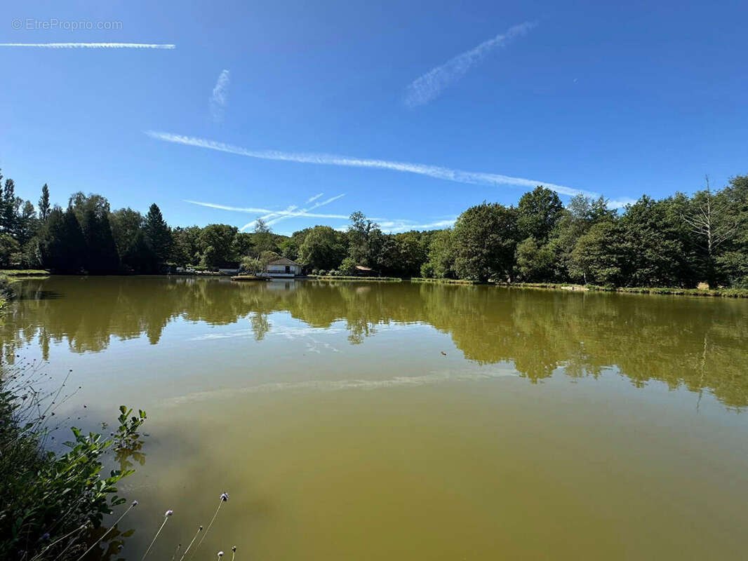 Maison à CHATEAUPONSAC