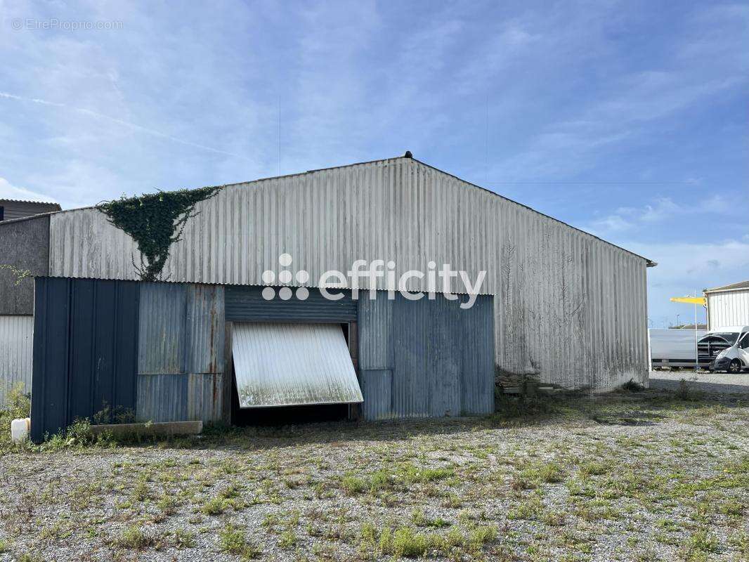 Commerce à GUERANDE