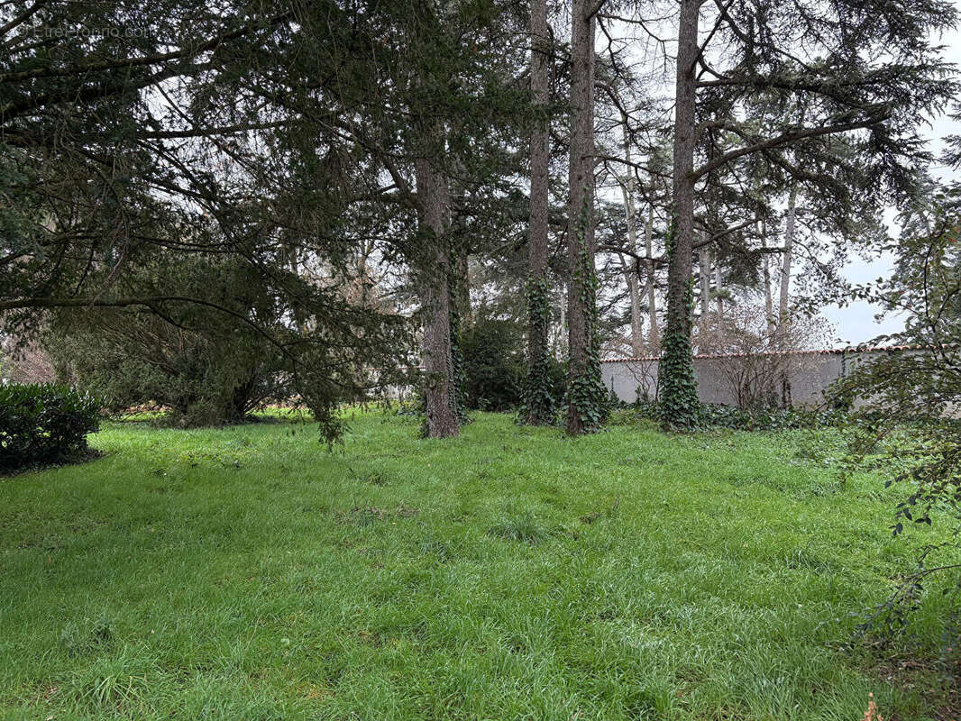 Terrain à VEAUCHE
