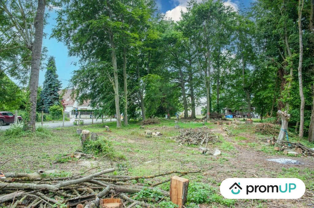 Terrain à NEUILLY-SAINT-FRONT