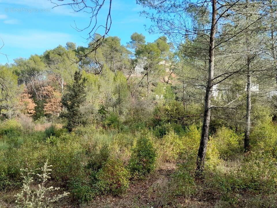 Terrain à BRIGNOLES