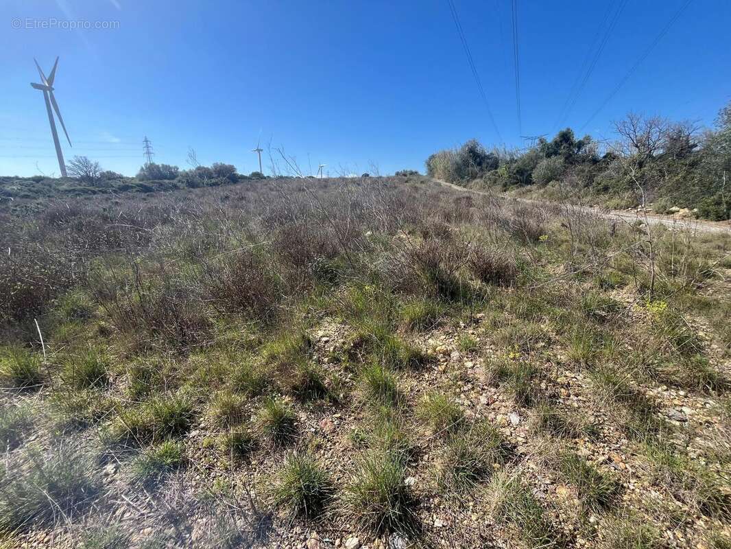 Photo 2 - Terrain à BAIXAS